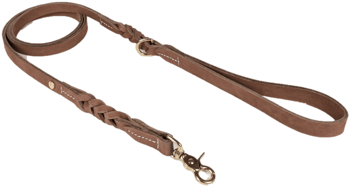 Denjo Dogs Stockholm talutushihna S, 155 cm, Hazel
