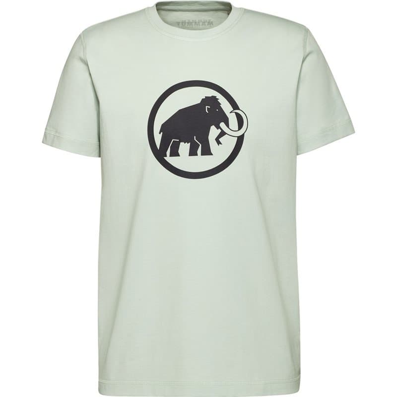 Mammut Core T-ShirtMen Classic Silver Sage