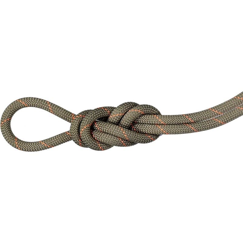 Mammut 9.9 Gym Workhorse Classic Rope 50m